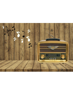 copie de HAUT PARLEUR ICONIX NDR 1095 LED