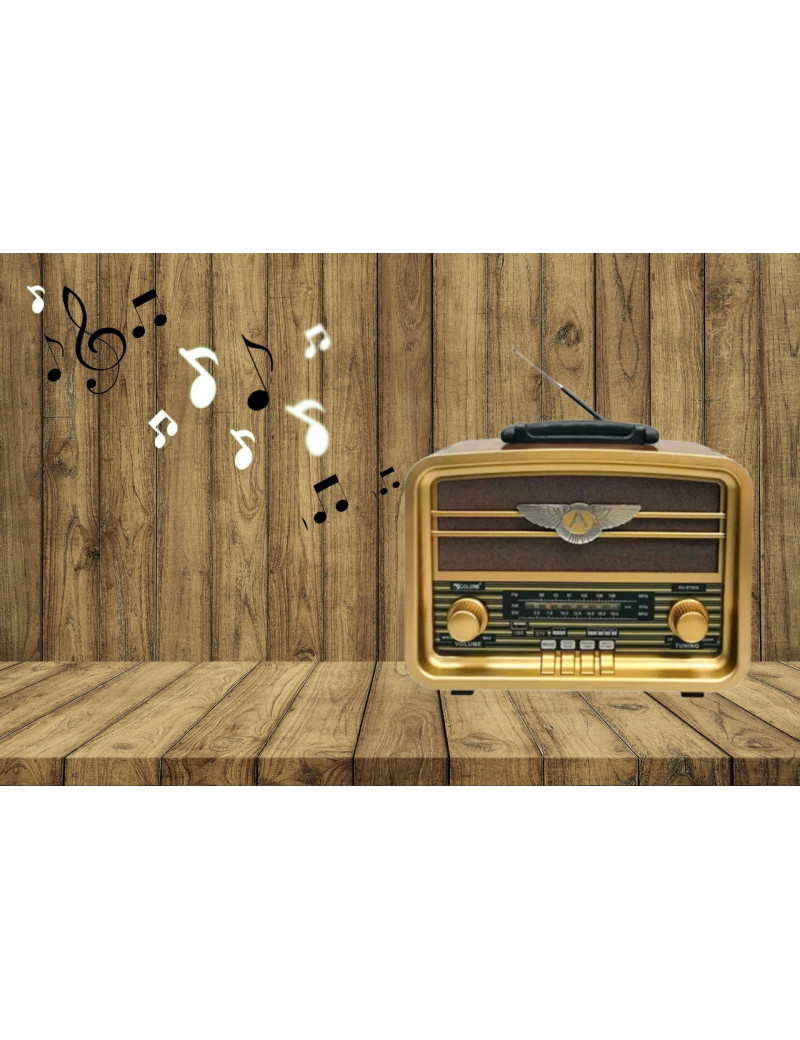 copy of HAUT PARLEUR ICONIX NDR 1095 LED